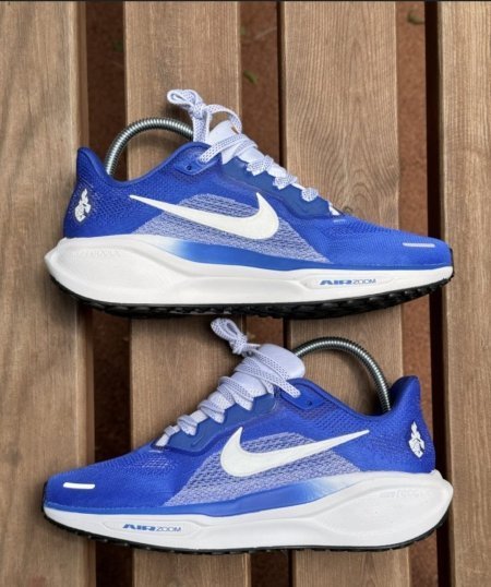 AIR ZOOM PEGASUS 41