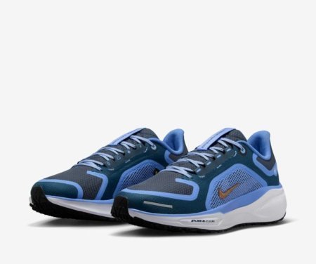 NIKE ZM PEGASUS41 GTX 051